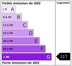 Emission de gaz à effet de serre : 117