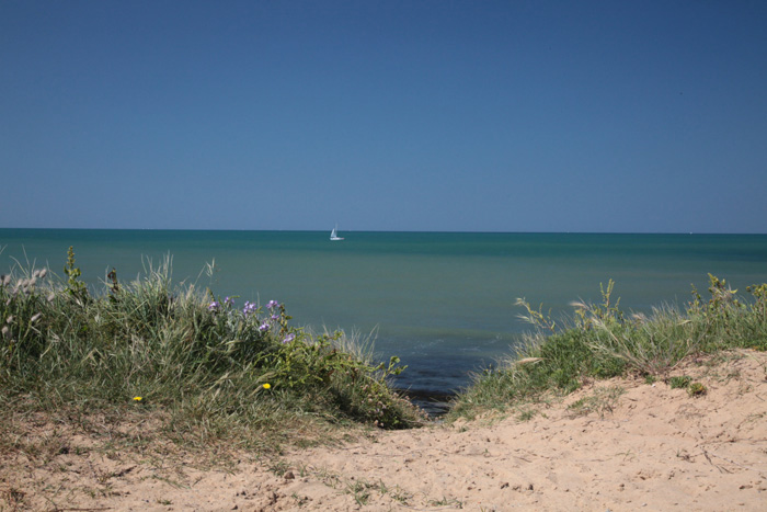 Maison a vendre Brem sur Mer 2