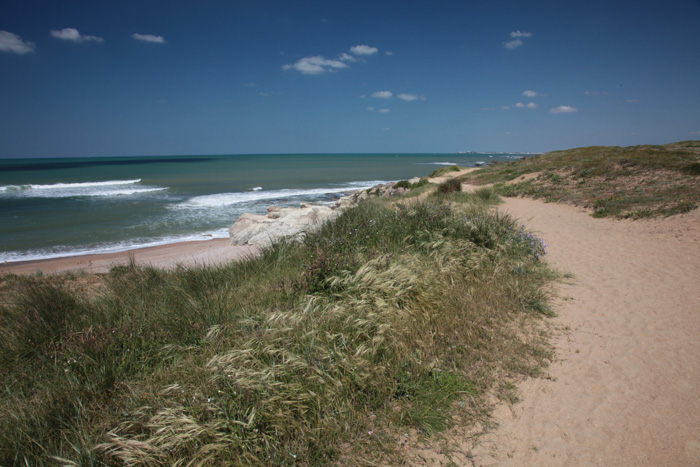 Achat maison Bretignolles sur Mer 1