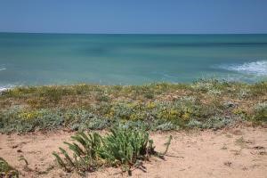RECHERCHE LOGEMENT A BRETIGNOLLES SUR MER