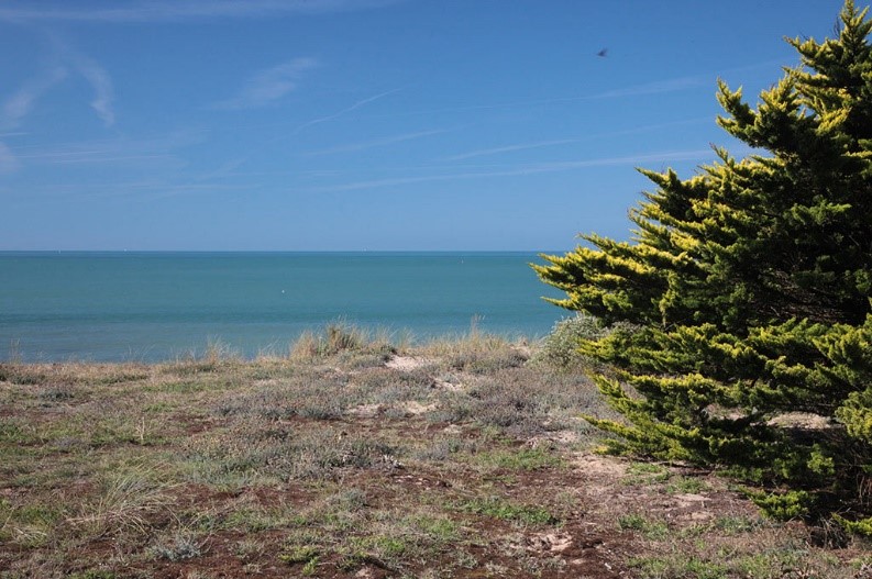 investissement à Brétignolles sur mer