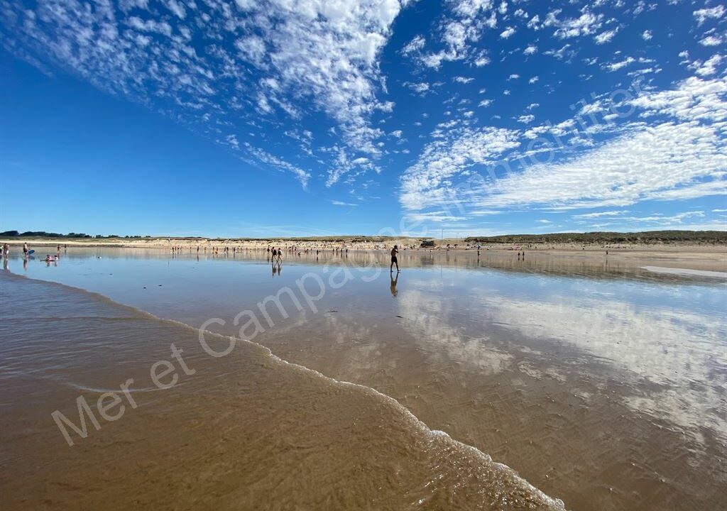 ND1-1140_LLgTOU8Zs1aP0ZTinLElYw