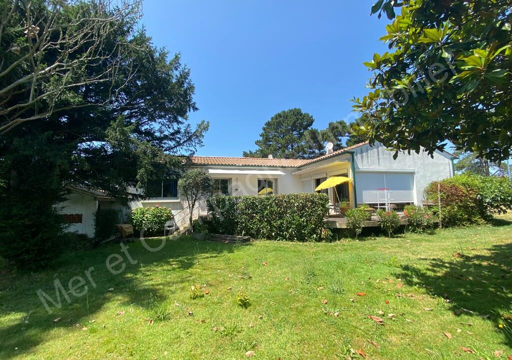 ND1-1142_cK1wm6shFrOk6n-h1tQXOg