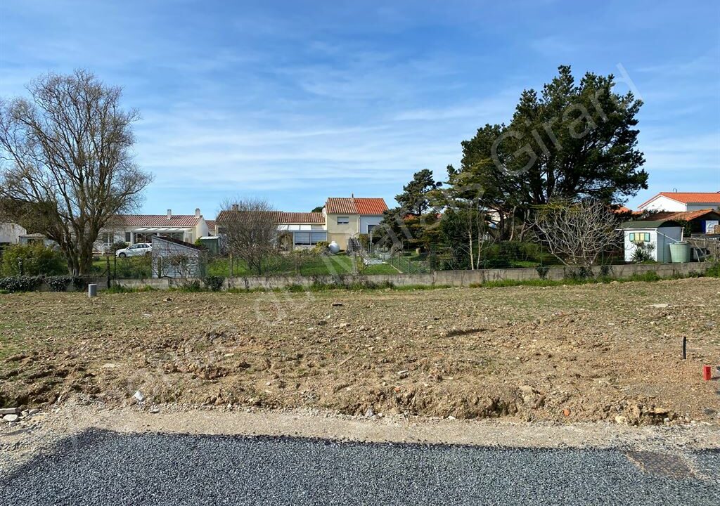 BF1-564_TyH503anbPGjn66nRVW1XA