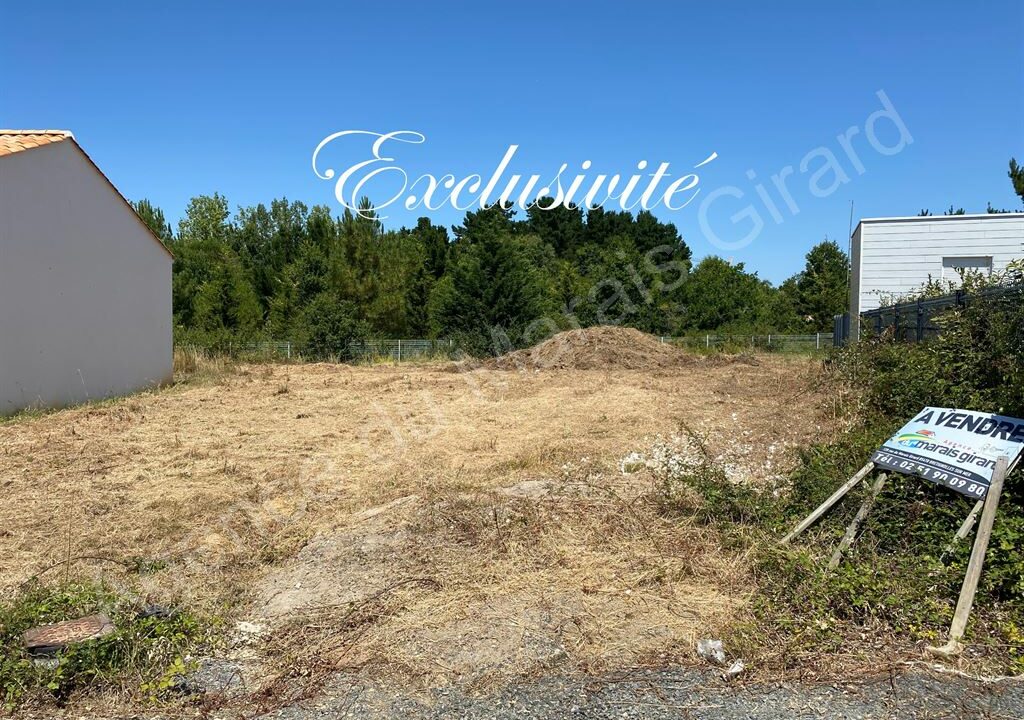 BF1-584_Tws0160FF_qOhAvFpz_GBw