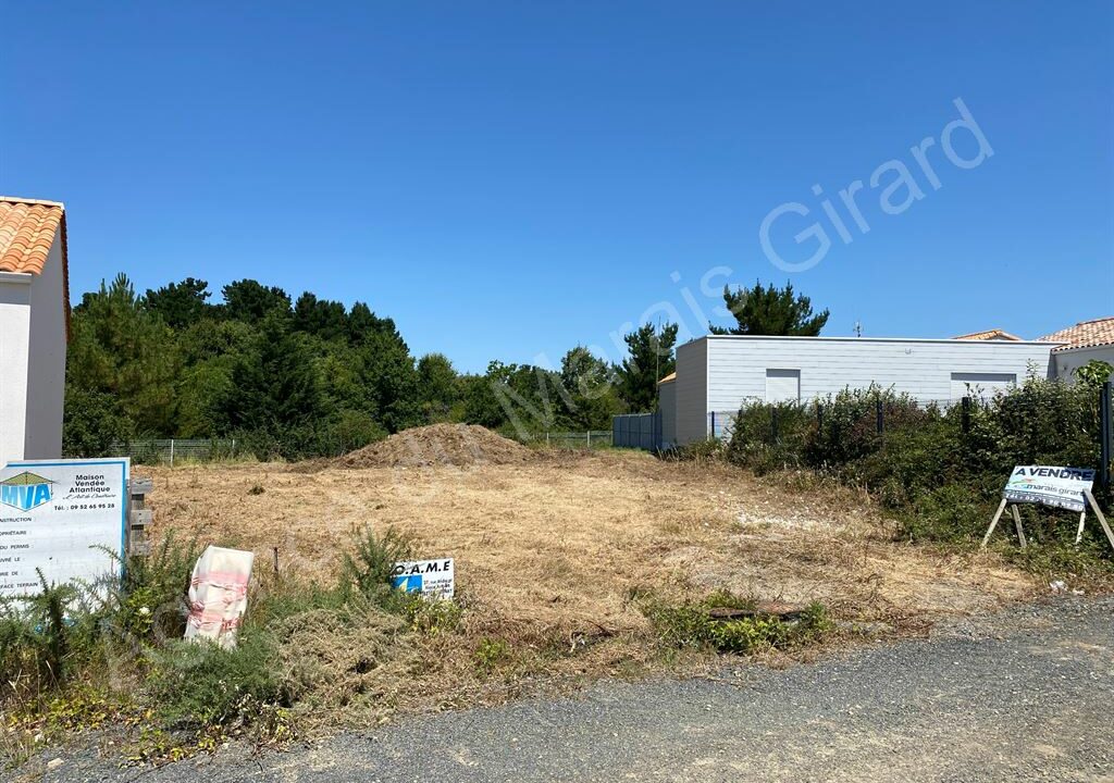 BF1-584_W639k2j2FwLUUPd5cU6jMQ