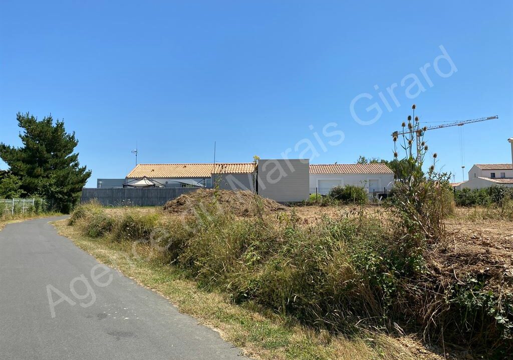 BF1-584_u3Xc3bDszSlSwLLEE88XbQ