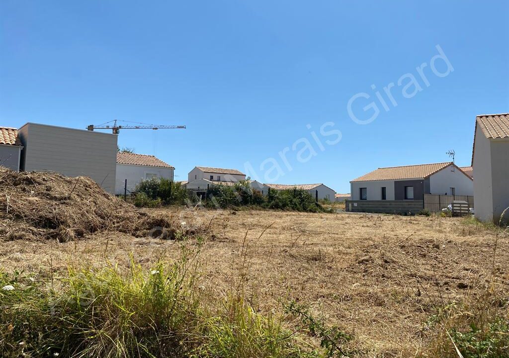 BF1-584_yGG_xAXL89MUjzp9SqemZg