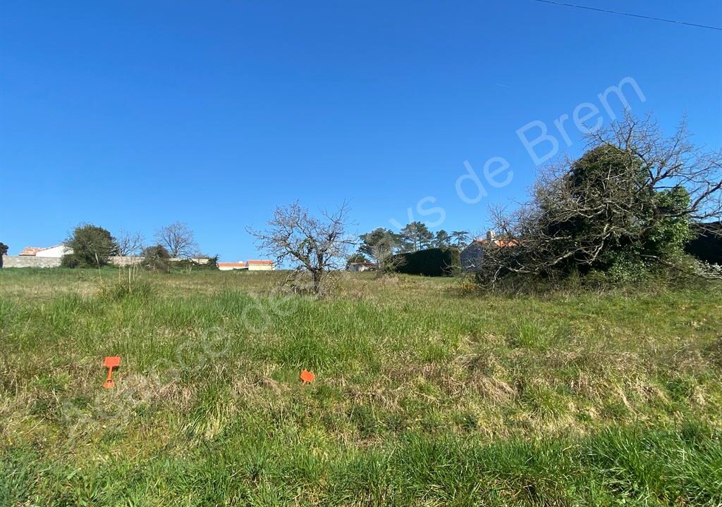 DA1-447_-9ALPWeuTfnfzrY7zeOvlA