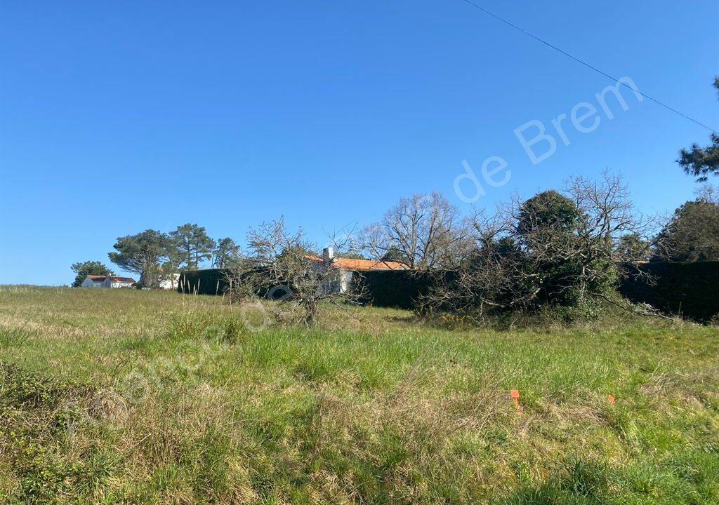 DA1-447_8_jqxrC0IP5d3xQLnmtMDQ