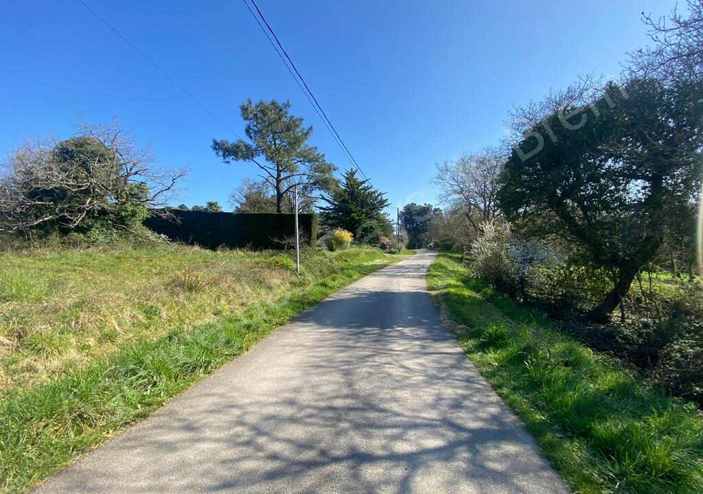 DA1-447_ZIudd60sOl7pTzwNzaez_w