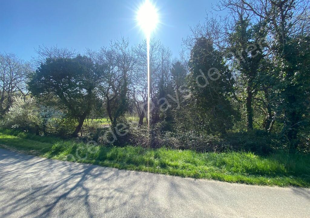 DA1-447_l0sX_50OS6SVF_cgWPNVUw