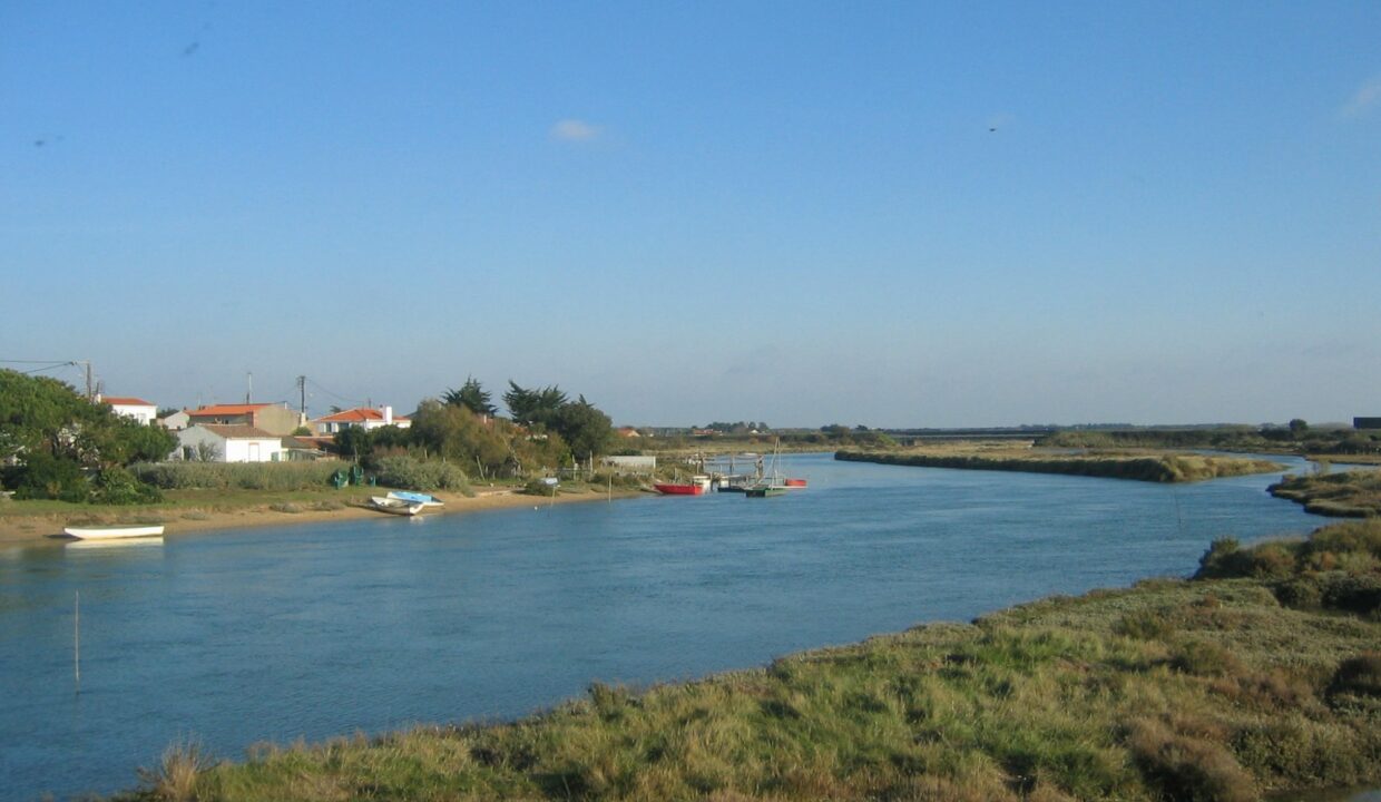 1769761766_VT242_7_original