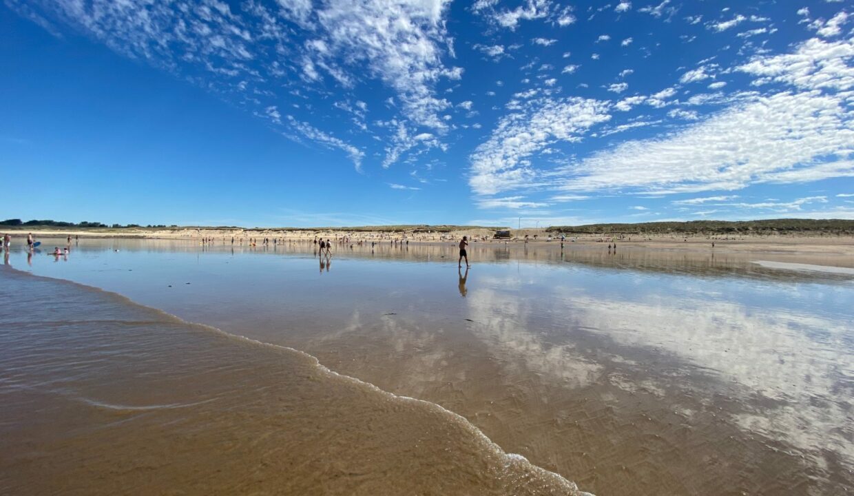 1769766592_VT440_4_original