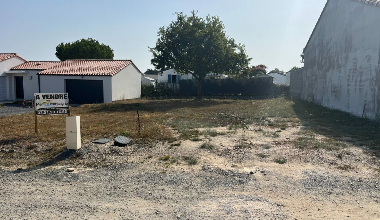 1769766636_VT450_5_original