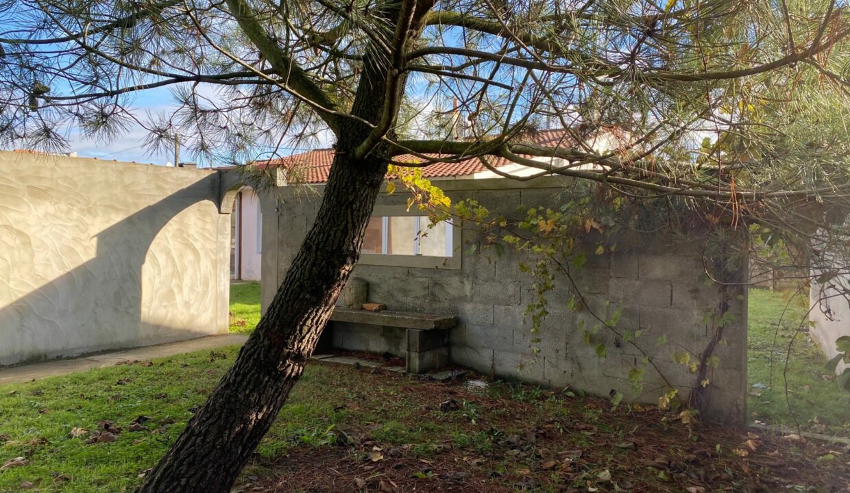 1769774814_VM3630_20_original