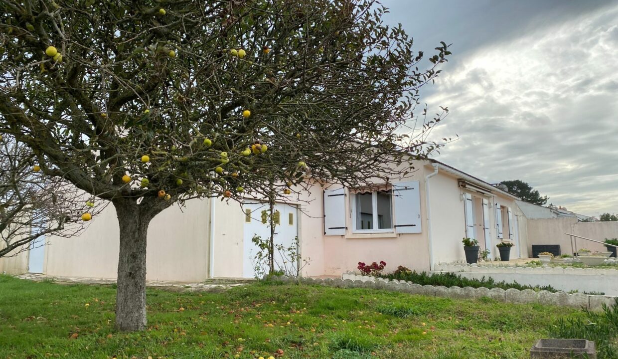 1769774821_VM3634_13_original