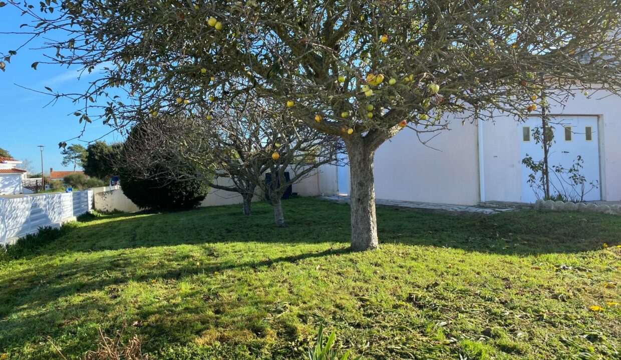 1769774823_VM3634_19_original