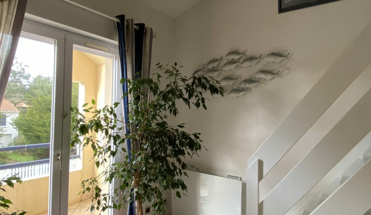 1770309811_VA2418_9_original