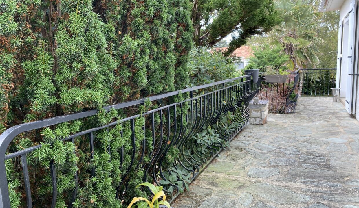 1770394223_VM3643_7_original