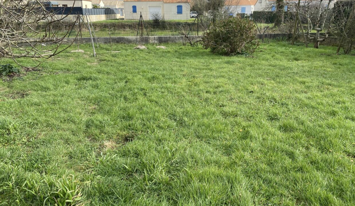 1770455121_VM3645_12_original