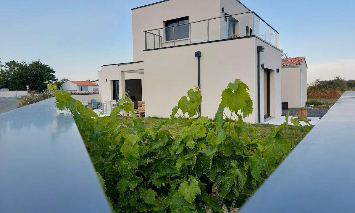 1770893850_VM3656_5_original