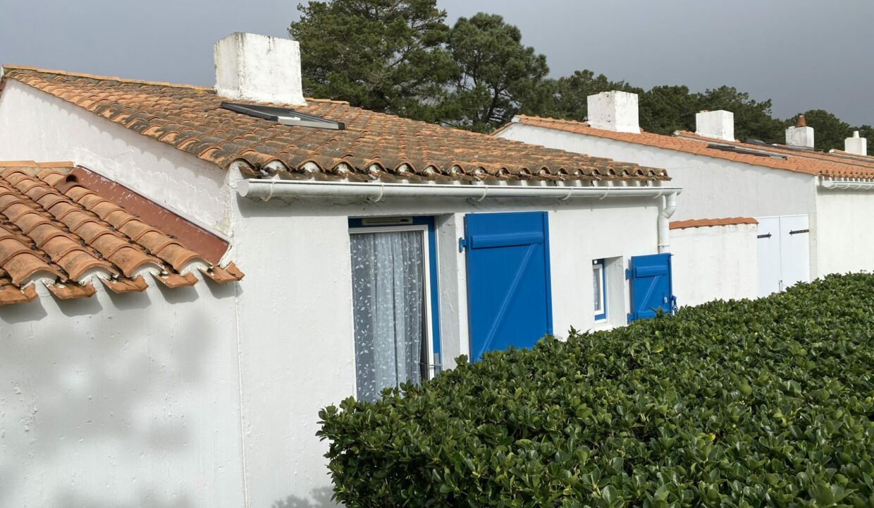 1771517716_VM3647_1_original