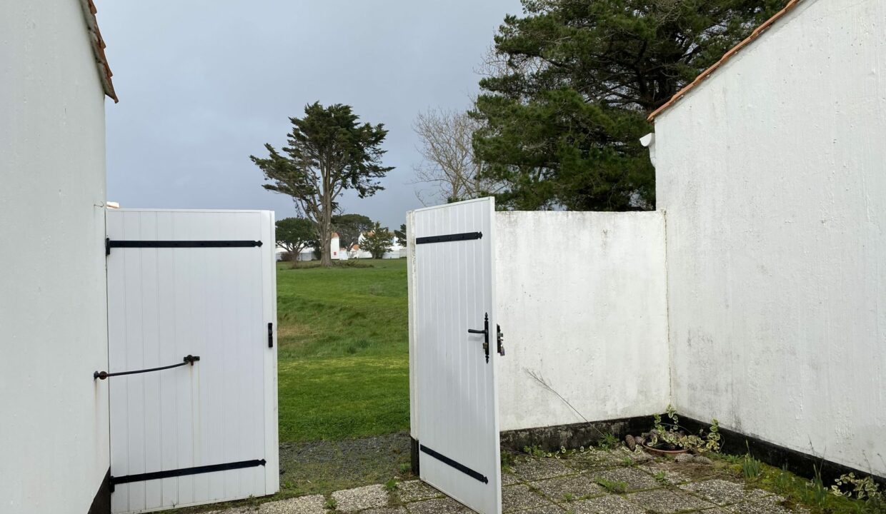 1771517717_VM3647_2_original