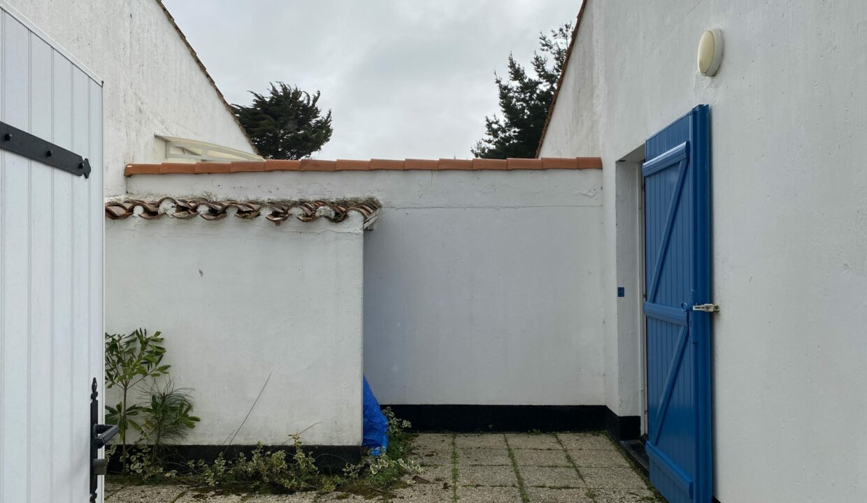 1771517719_VM3647_3_original