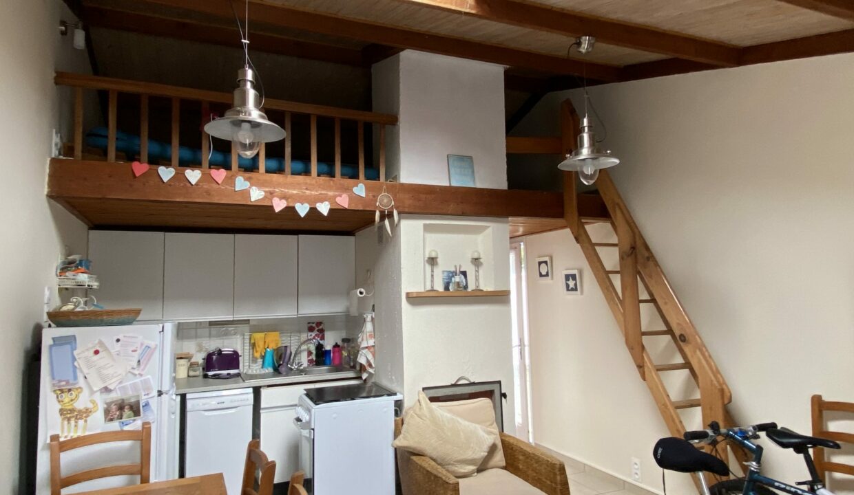 1771517723_VM3647_7_original