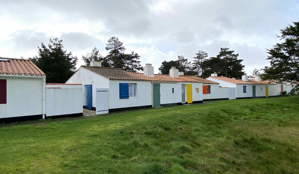 1771517728_VM3647_11_original