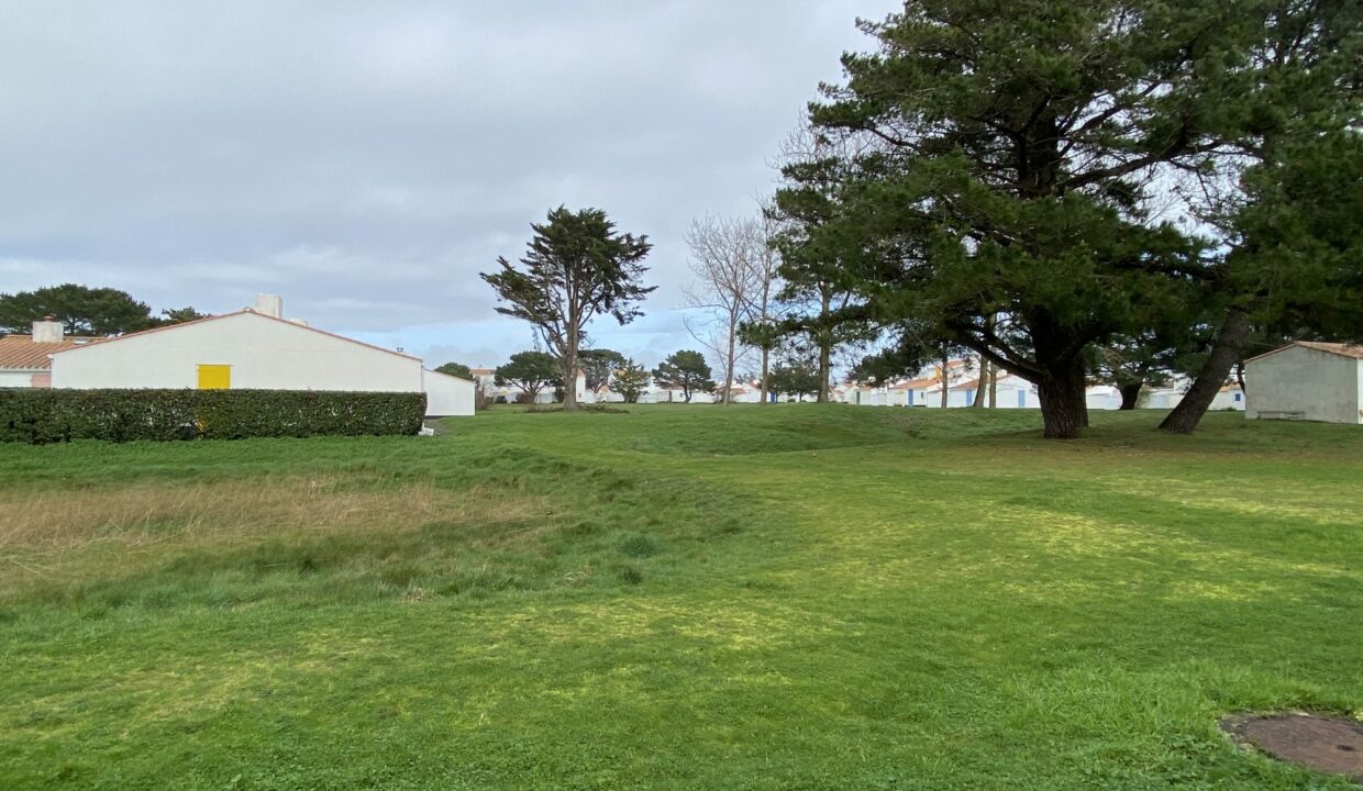 1771517730_VM3647_12_original