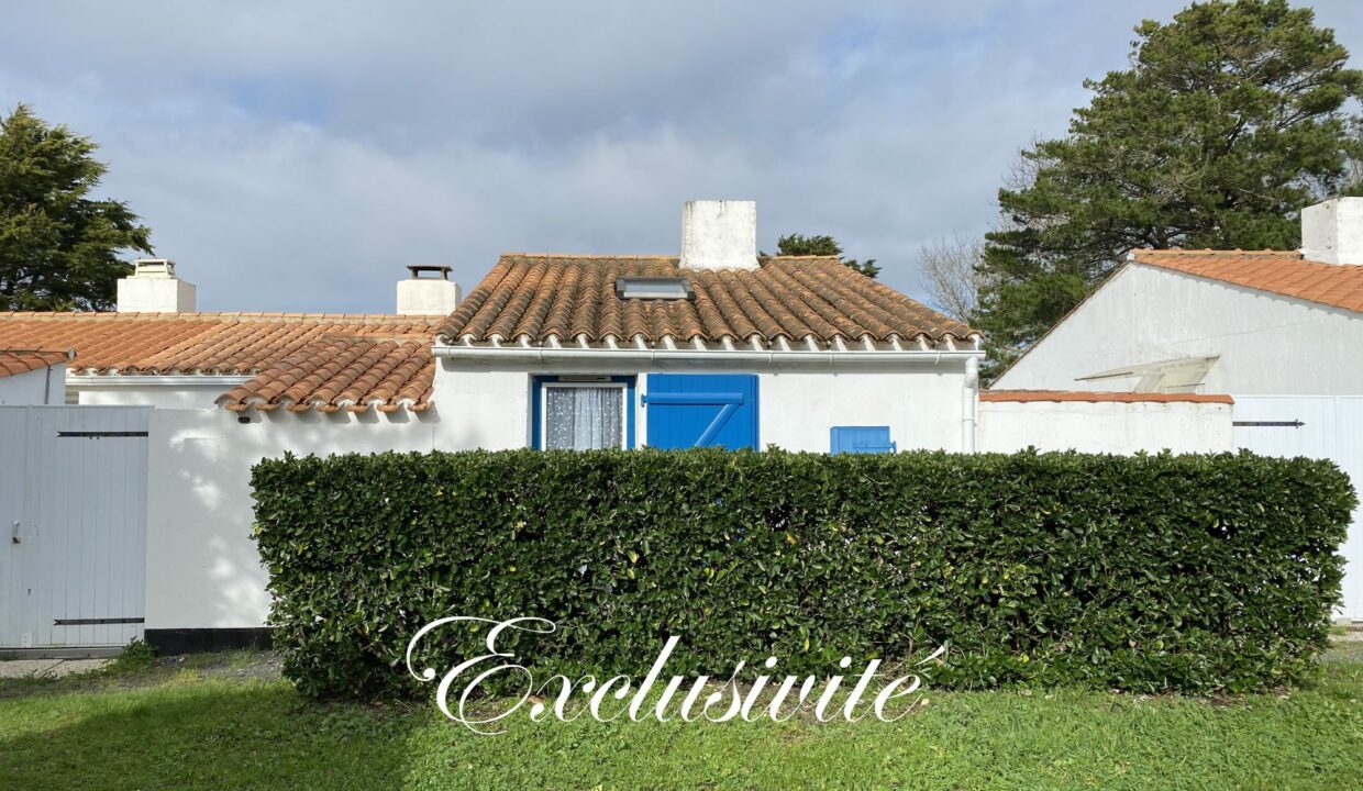 1771517733_VM3647_14_original