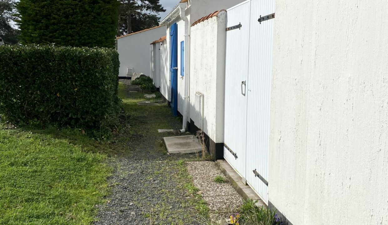 1771517736_VM3647_16_original