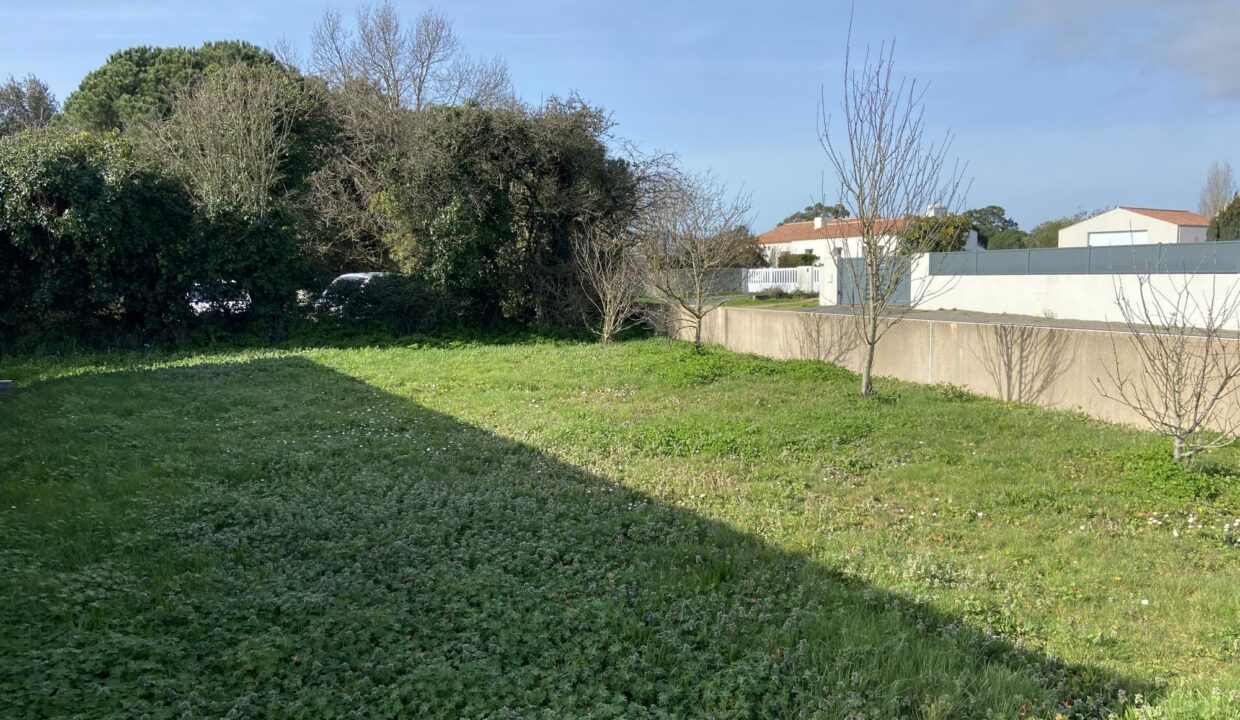 1772119632_VM3666_9_original