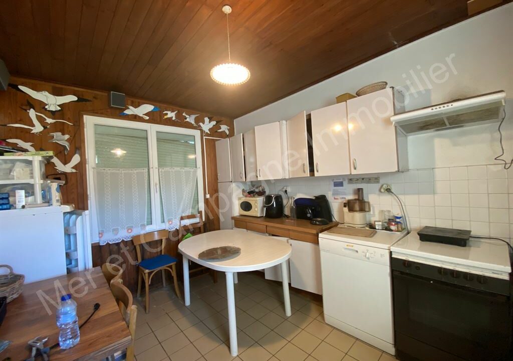 ND1-1216_9qHHoF6TEFKNtDjJHi0UmQ