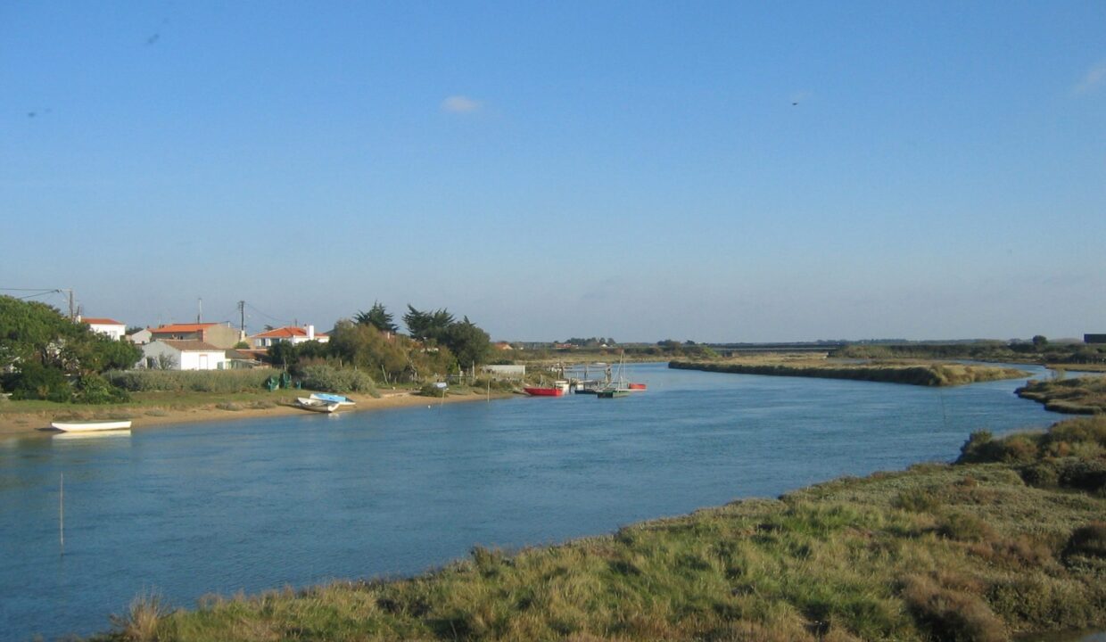 1769761766_VT242_7_original