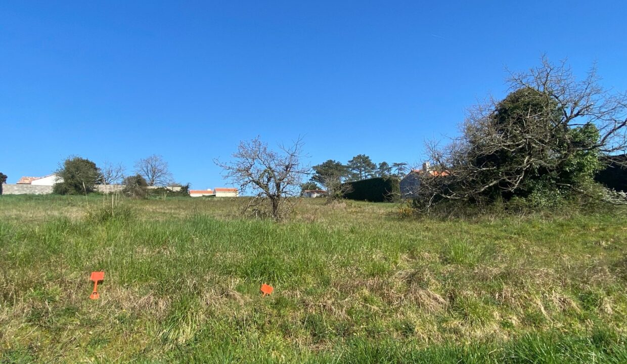 1769761833_VT268_7_original