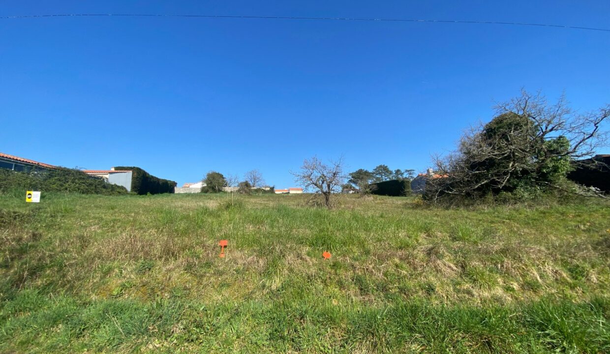 1769761834_VT268_8_original