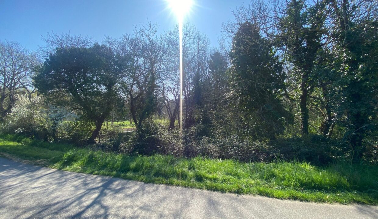 1769761835_VT268_10_original