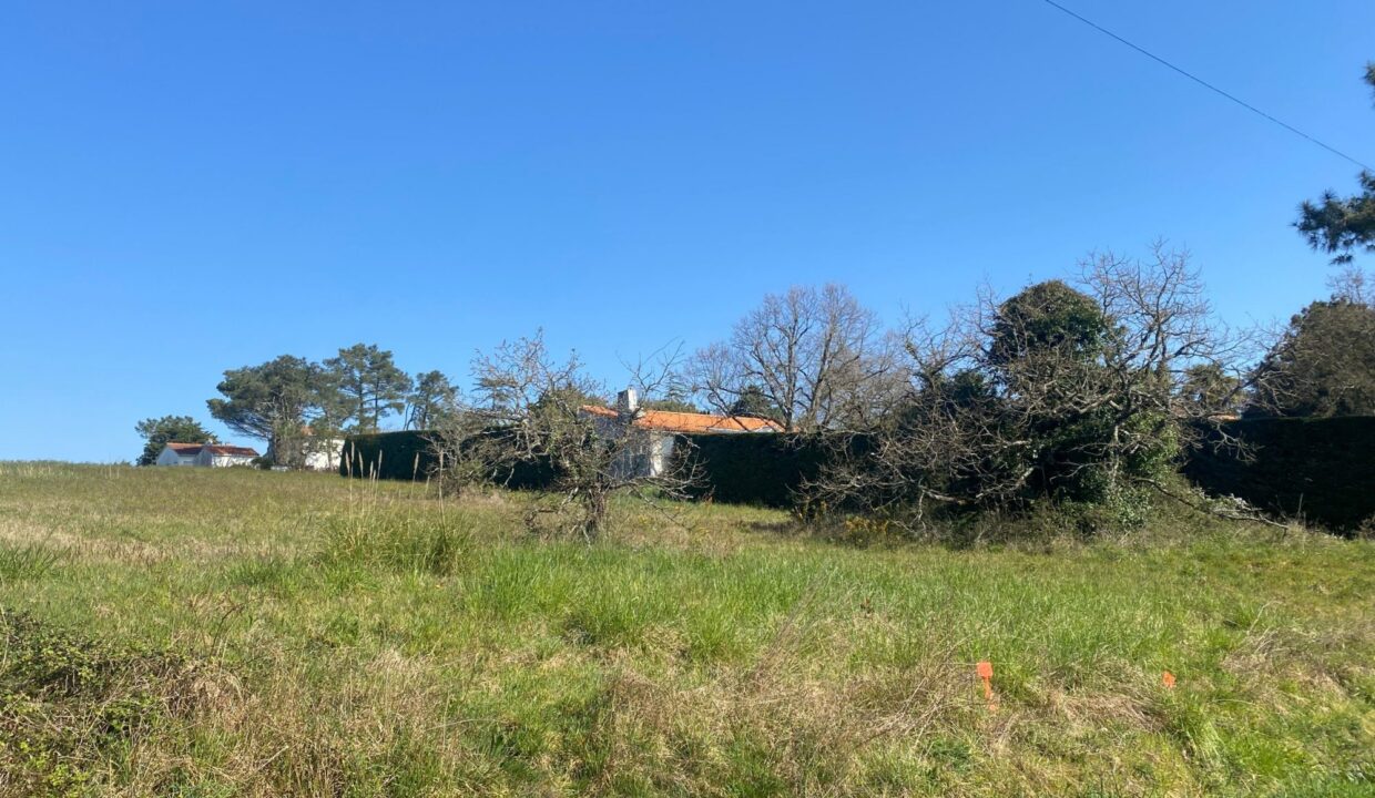 1769761835_VT268_11_original