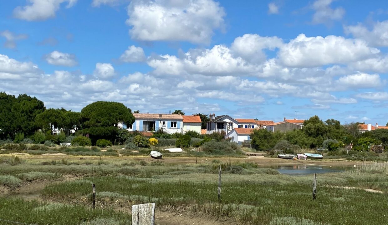 1769766273_VT418_4_original