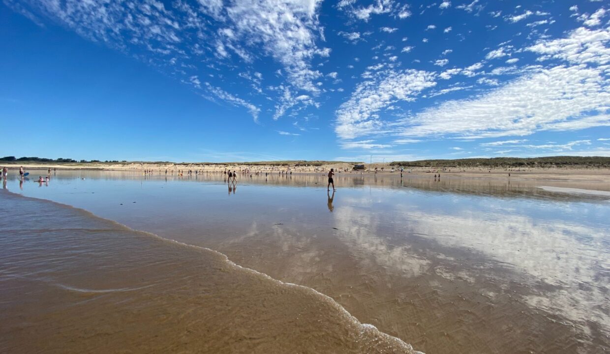 1769766592_VT440_4_original