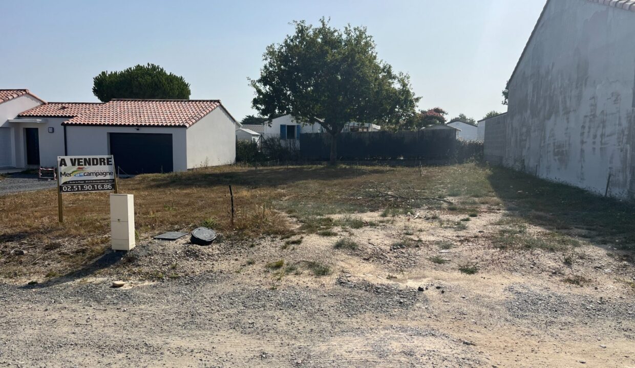 1769766636_VT450_5_original