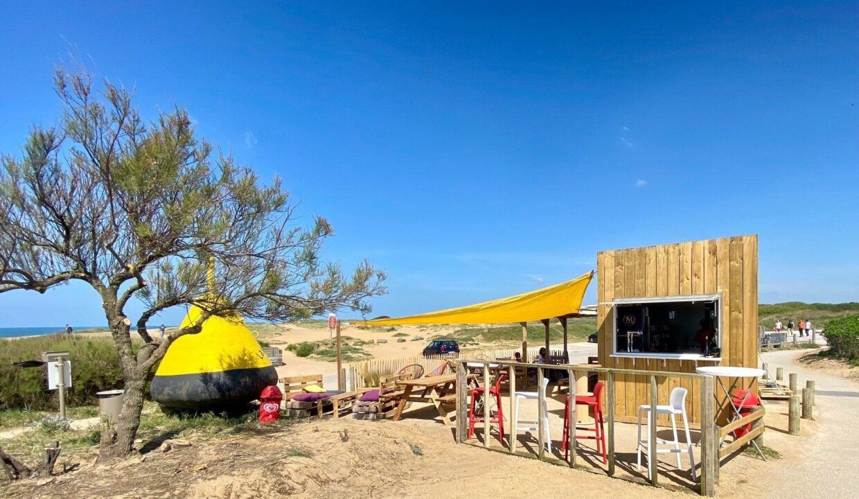 1769766728_VA2216_11_original