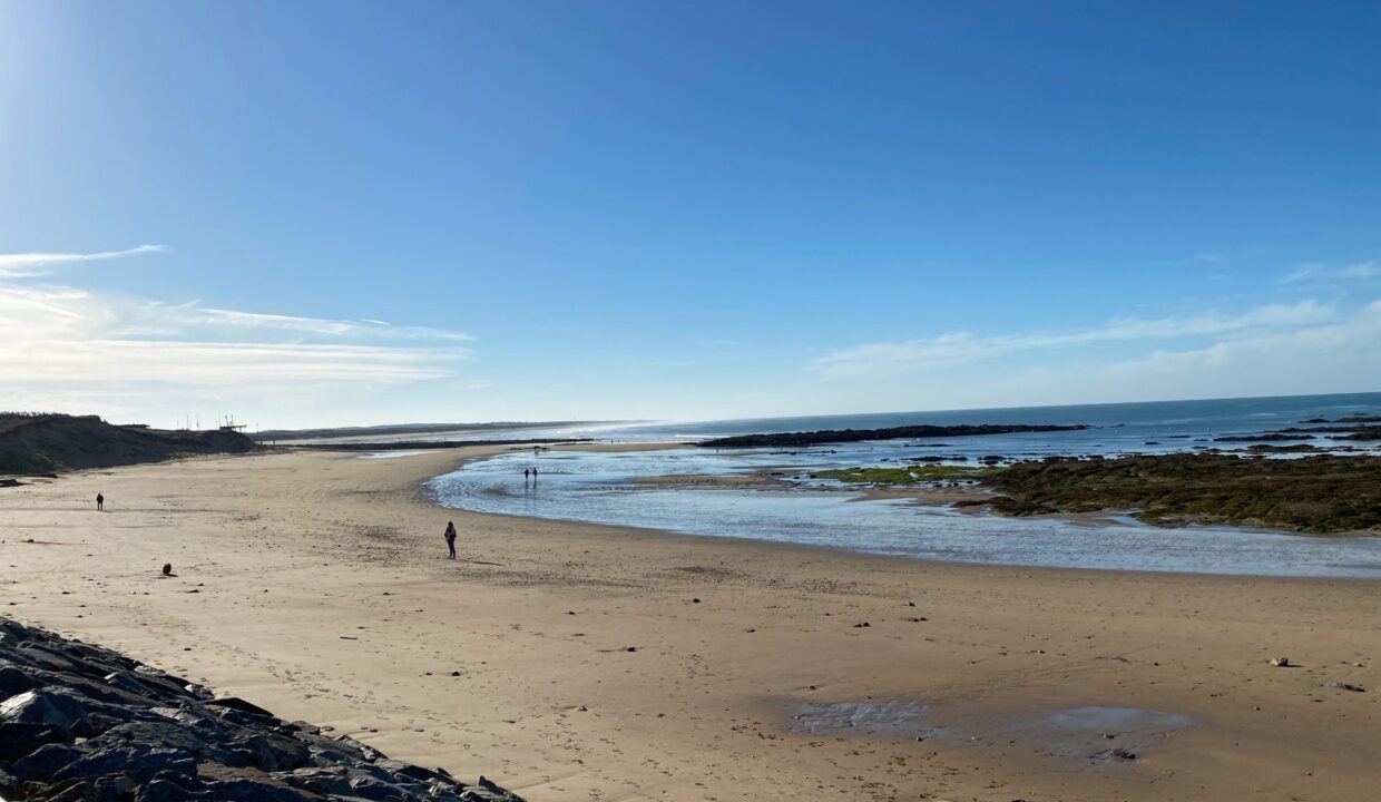 1769774722_VA2412_13_original