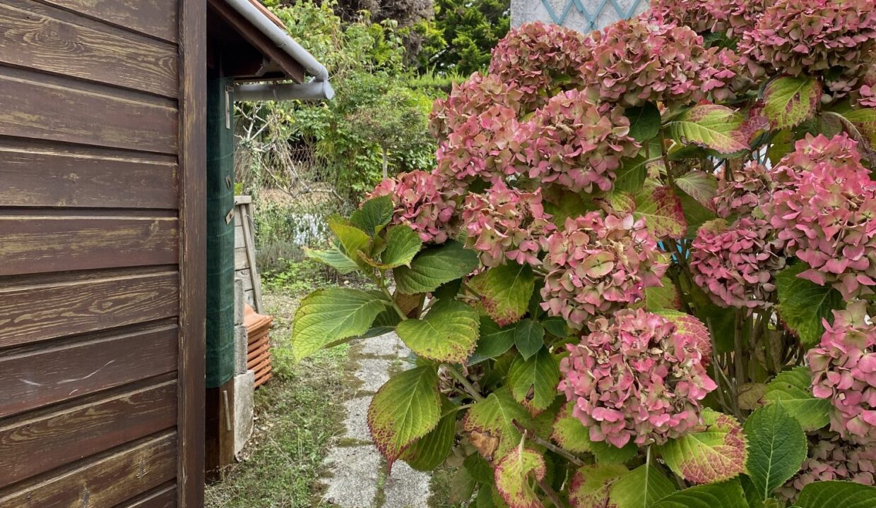 1770394221_VM3643_5_original