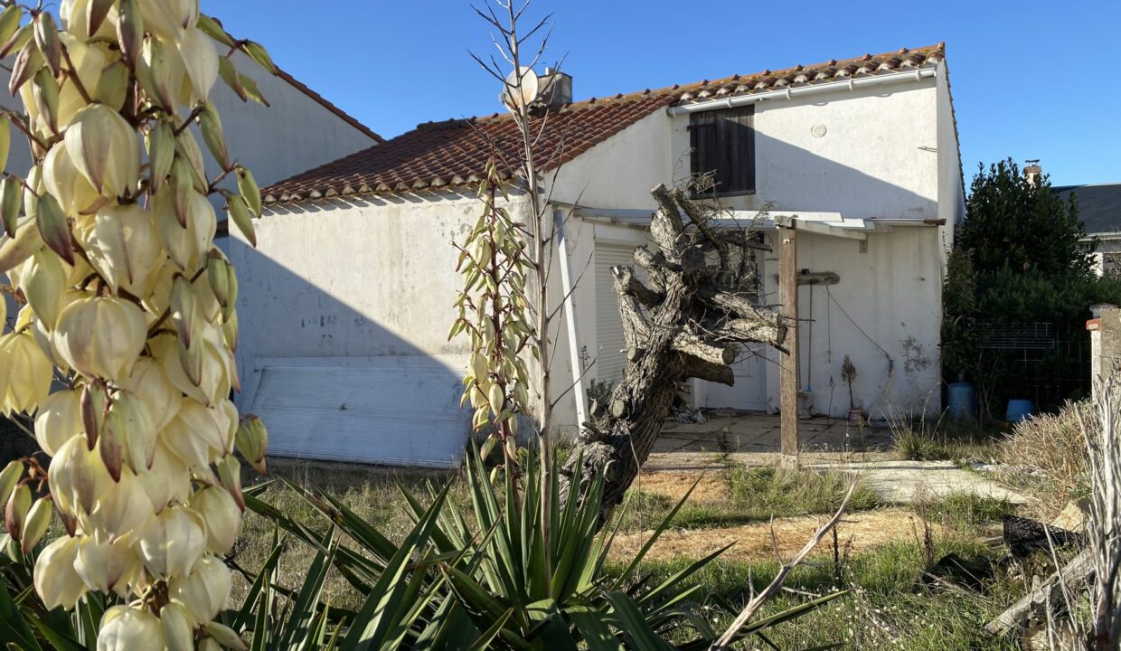 1770397641_VM3644_6_original