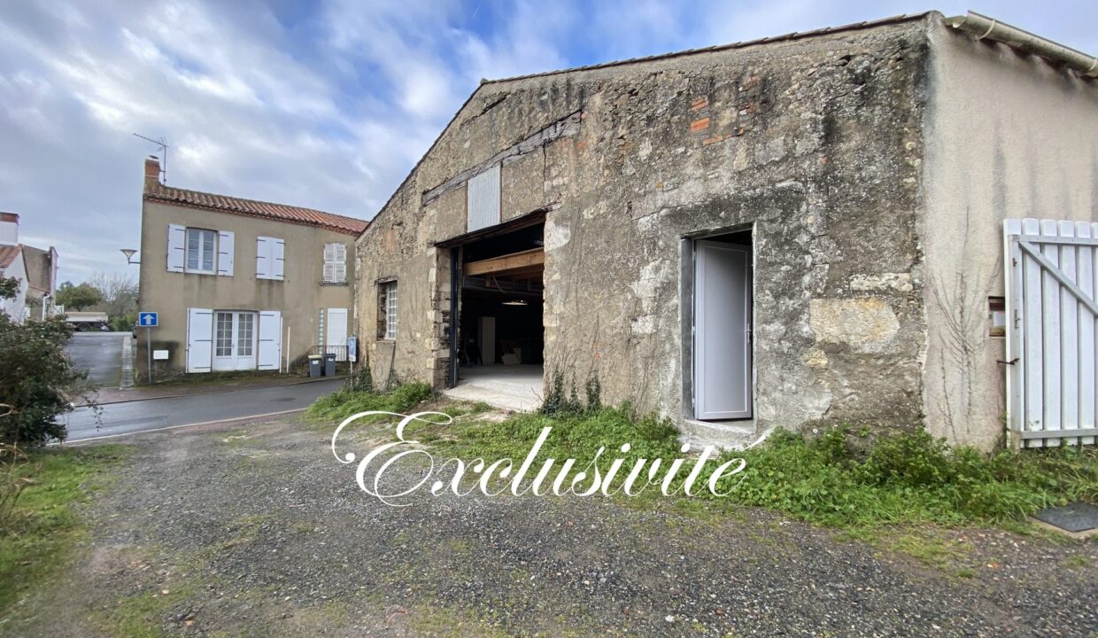 1770905225_VI057_6_original