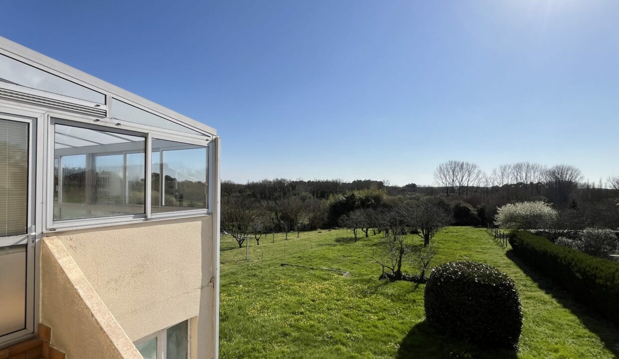 1772554816_VM3675_6_original